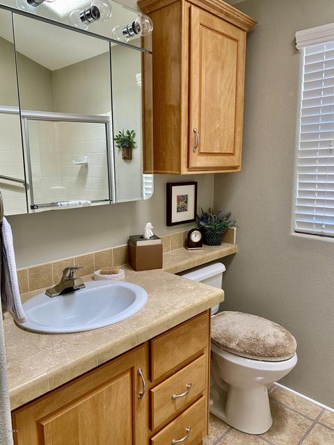 7750 E Broadway Rd #787, Mesa, AZ 85208 photo 21