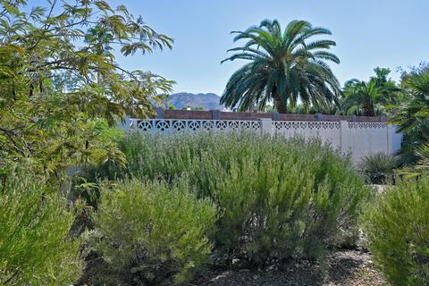 4031 E Becker Ln, Phoenix, AZ 85028 photo 73