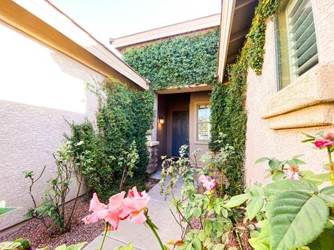 1527 E Bluebird Ct, Gilbert, AZ 85297 photo 9