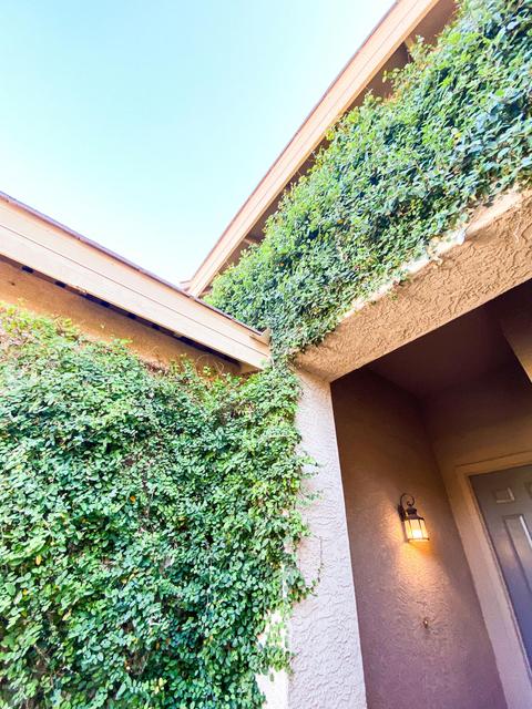 1527 E Bluebird Ct, Gilbert, AZ 85297 photo 10