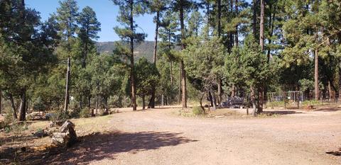 3465 N Harps Way, Pine, AZ 85544 photo 14