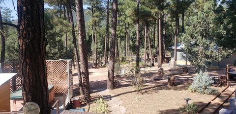 3465 N Harps Way, Pine, AZ 85544 photo 17