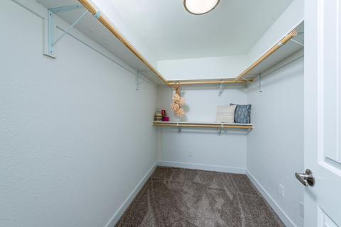 3501 E Janice Way, Phoenix, AZ 85032 photo 11