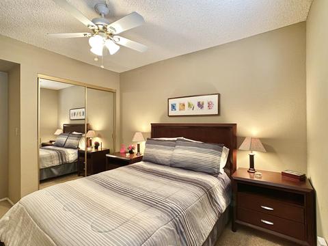 3855 E Tano St, Phoenix, AZ 85044 photo 25