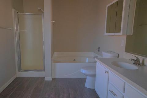 10733 E Ananea Ave, Mesa, AZ 85208 photo 13