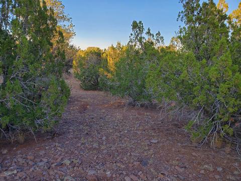 10170 Howard Mesa Loop, Williams, AZ 86046 photo 27