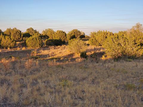 10170 Howard Mesa Loop, Williams, AZ 86046 photo 29