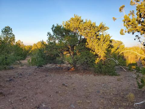10170 Howard Mesa Loop, Williams, AZ 86046 photo 28