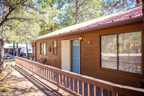2933 S Woods Dr, Overgaard, AZ 85933 photo 2