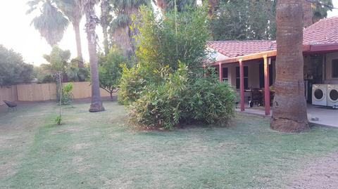 3023 E Palm Ln, Phoenix, AZ 85008 photo 5
