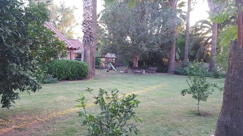 3023 E Palm Ln, Phoenix, AZ 85008 photo 2