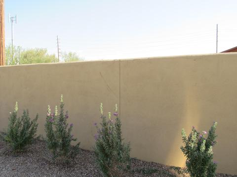 3328 E Greenway Ln, Phoenix, AZ 85032 photo 32