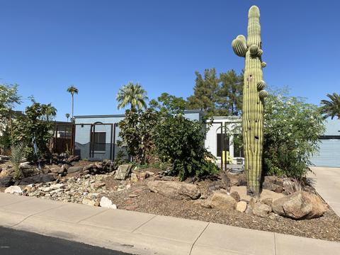 2518 E Brown St, Phoenix, AZ 85028 photo 2