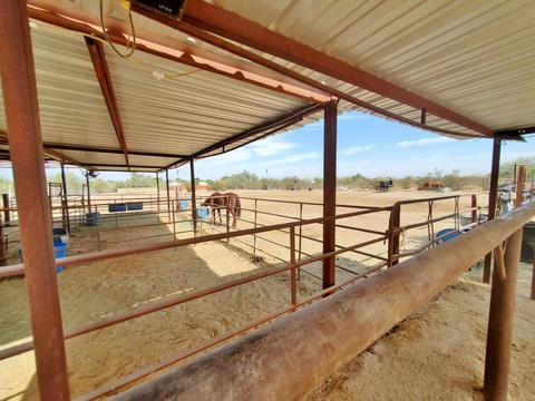 2148 E Desert Ln, Phoenix, AZ 85042 photo 9