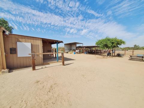 2148 E Desert Ln, Phoenix, AZ 85042 photo 8