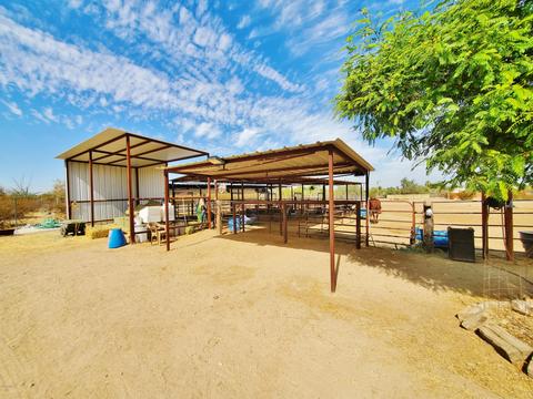 2148 E Desert Ln, Phoenix, AZ 85042 photo 7