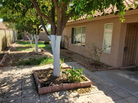 5523 E Fairfield St, Mesa, AZ 85205 photo 19