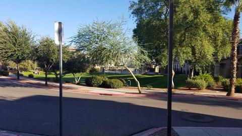 73 E Palomino Dr, Gilbert, AZ 85296 photo 6