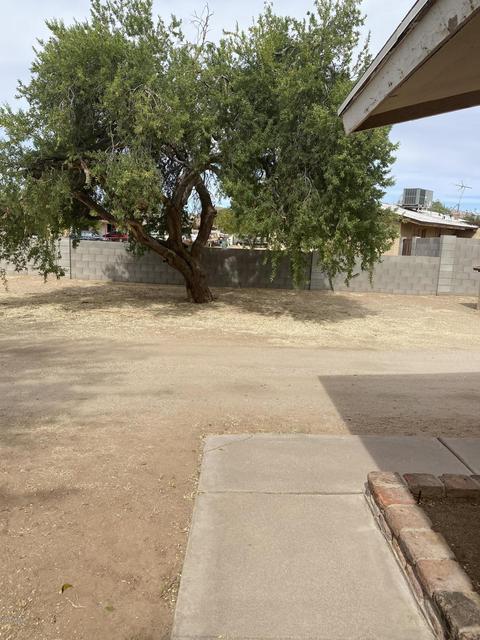 537 N 97th St, Mesa, AZ 85207 photo 20