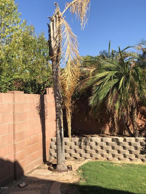 4332 E Glenhaven Dr, Phoenix, AZ 85048 photo 23