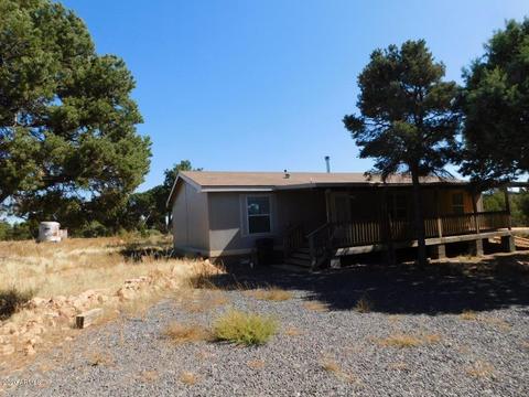 3687 Green Forest Dr, Overgaard, AZ 85933 photo 18