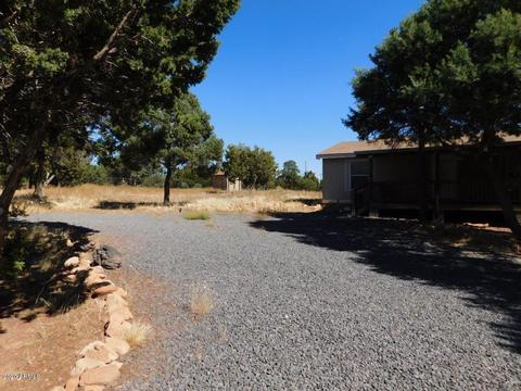 3687 Green Forest Dr, Overgaard, AZ 85933 photo 3