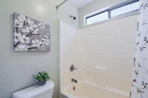 955 S 132nd St, Gilbert, AZ 85233 photo 49