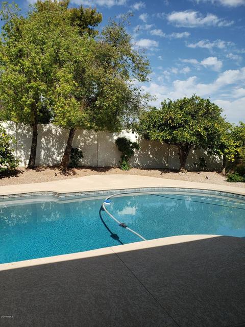 2322 E Cholla St, Phoenix, AZ 85028 photo 3
