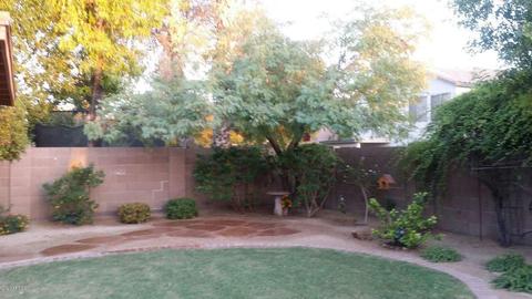 1351 E Sheffield Ave, Gilbert, AZ 85296 photo 26