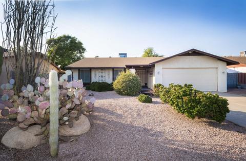 3526 E Larkspur Dr, Phoenix, AZ 85032 photo 4