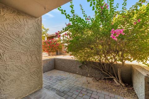 3825 E Camelback Rd #163, Phoenix, AZ 85018 photo 21