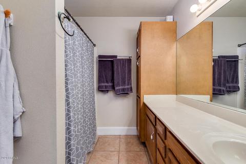 233 W Scott Ave, Gilbert, AZ 85233 photo 19