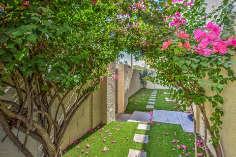 4923 E Hazel Dr #1, Phoenix, AZ 85044 photo 6