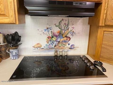 916 W 10th Pl, Mesa, AZ 85201 photo 13