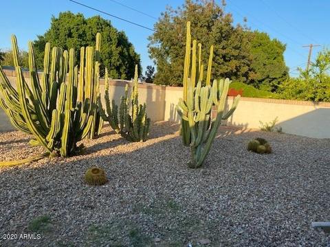 916 W 10th Pl, Mesa, AZ 85201 photo 23