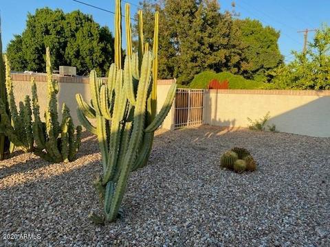 916 W 10th Pl, Mesa, AZ 85201 photo 21