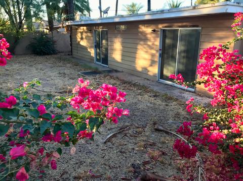 4317 E Campbell Ave, Phoenix, AZ 85018 photo 39