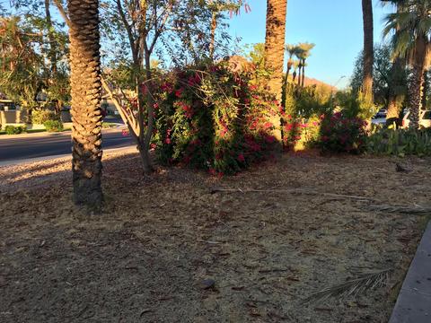 4317 E Campbell Ave, Phoenix, AZ 85018 photo 8