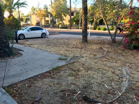 4317 E Campbell Ave, Phoenix, AZ 85018 photo 9