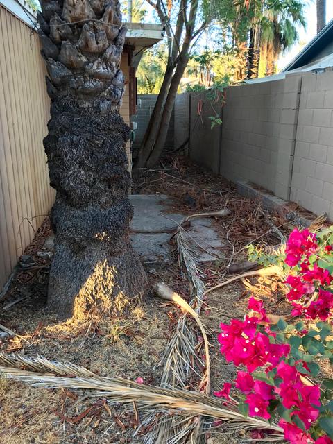 4317 E Campbell Ave, Phoenix, AZ 85018 photo 35