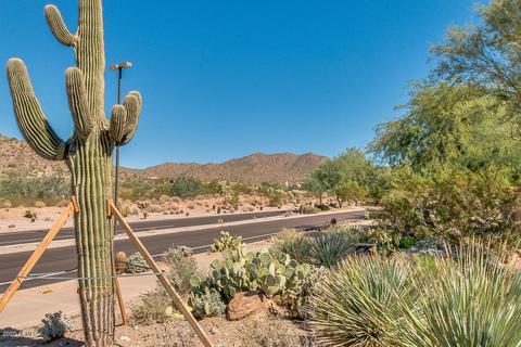 7445 Eagle Crest Dr #1067, Mesa, AZ 85207 photo 47
