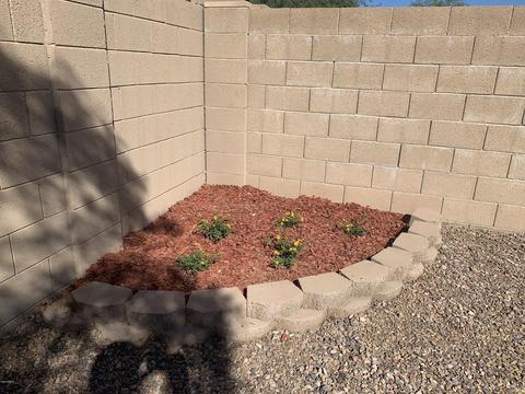 206 S 15th St, Coolidge, AZ 85128 photo 24