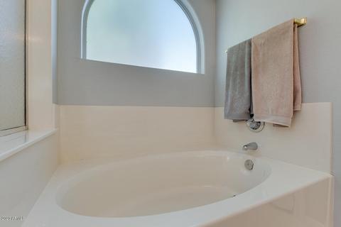 6918 E Laguna Azul Ave, Mesa, AZ 85209 photo 23