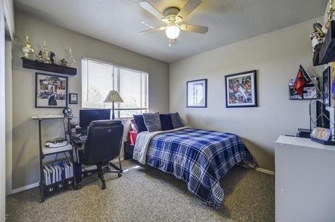 4017 E Prickly Pear Trl, Phoenix, AZ 85050 photo 14