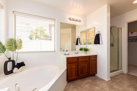 4568 E Buckboard Ct, Gilbert, AZ 85297 photo 38