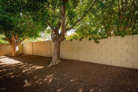 4625 E Winston Dr, Phoenix, AZ 85044 photo 24