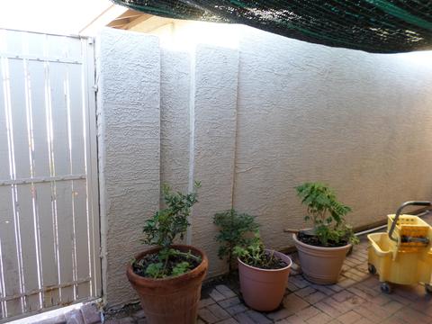 2624 E 10th St, Tempe, AZ 85288 photo 8