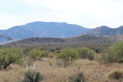 tbd E Dragoon Rd #-, Dragoon, AZ 85609 photo 57