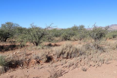 tbd E Dragoon Rd #-, Dragoon, AZ 85609 photo 33