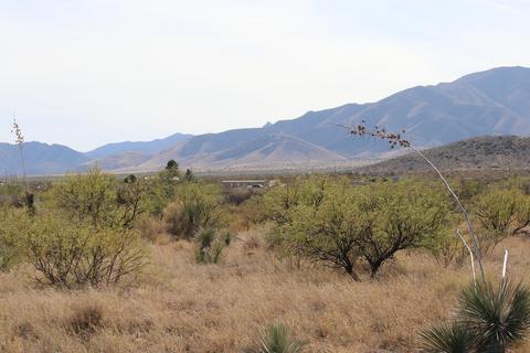 tbd E Dragoon Rd #-, Dragoon, AZ 85609 photo 58